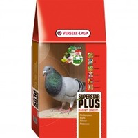 Versele-Laga Superstar Plus I.C. - Pigeon Feed & Seed (B1) (Size: 20 kg)