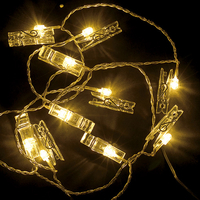 10 Warm White Static Clothes Peg Card-Holder LED Christmas Lights