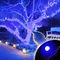 100 Connectable Blue LED Globe Lights on Rubber Cable