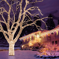 100 Warm White Static Connectable LED Christmas Lights