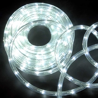 10m Ropelight with Static Ice White LEDs