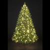 12ft Pre-Lit Carson Spruce Christmas Tree