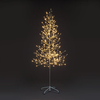 1.8m Champagne Tree with 312 Warm White LEDs