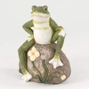 20cm Frog On Rock Garden Ornament