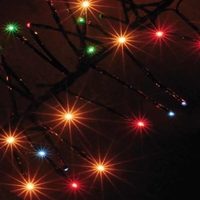 288 Multi-Colour Static Outdoor Cluster LED Christmas Lights