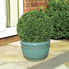 30cm Artificial Topiary Leaf Ball