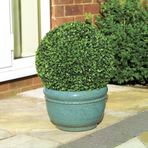 30cm Artificial Topiary Leaf Ball