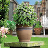 30cm White Flowering Effect Topiary Ball