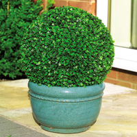 40cm Leaf Effect Topiary Ball