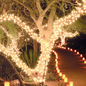 480 Warm White Super-Long LED Chasing Christmas Lights