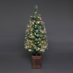 4ft Frosted Colwood Mini Pre-Lit Christmas Tree