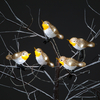 5 Acrylic Robin Lights With 30 Ice White LEDS with Clip-On