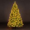 5ft/150cm Alberta Pine Green Pre-Lit Fairy Light Christmas Tree