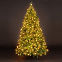 5ft/150cm Alberta Pine Green Pre-Lit Fairy Light Christmas Tree