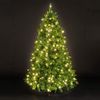 5ft/150cm Alberta Pine Green Pre-Lit LED Christmas Tree