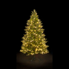 6ft Ashley Fir Luxury Premium "QuickLight" PE Tree