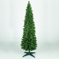 6ft Pencil Pine Tree