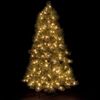 6ft Pre-Lit Appalachian Pine Christmas Tree