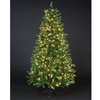 6ft Pre Lit Sabine Spruce Luxury Premium PE Christmas Tree