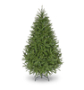 6ft Salisbury Spruce Christmas Tree