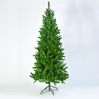 6ft Saskatchewan Spruce Tree