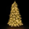6ft/180cm Appalachian Pine Pre-Lit Christmas Tree