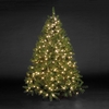 6ft/180cm Denver Spruce Green Pre-Lit LED Christmas Tree