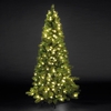 6ft/180cm Manitoba Spruce Slim Green Pre-Lit LED Christmas Tree