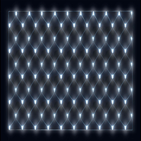 7ft 10in Chasing Net Light with 240 Multi Coloured LEDs