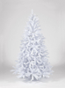 7ft 4in White Princess Pine Christmas Tree