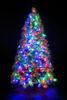 7ft Pre-Lit Portland Pine Tree with Multi-Coloured Lights
