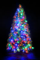 7ft Pre-Lit Portland Pine Tree with Multi-Coloured Lights