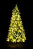 7ft Pre-Lit Tyrolean Pine Christmas Tree