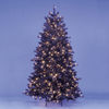 7ft/210cm Alberta Pine Black Pre-Lit LED Christmas Tree