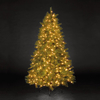 7ft/210cm Canterbury Spruce Green Pre-Lit Fairy Light Christmas Tree