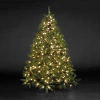 7ft/210cm Denver Spruce Green Pre-Lit LED Christmas Tree