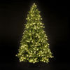 7ft/210cm Finlandia Fir Green Pre-Lit PE Premium LED Christmas Tree