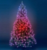 7ft/210cm Green Baltic Spruce Colour Change LED Christmas Tree