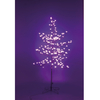 7ft/210cm Pink Regal Blossom Tree