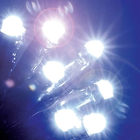 80 Ice White Static LED Christmas Lights