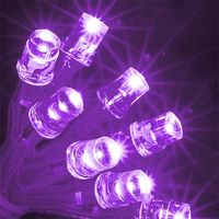 80 Purple Chasing Outdoor LED Christmas Lights