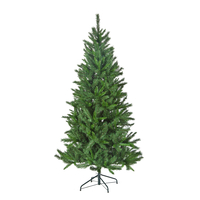 8ft Saskatchewan Spruce Tree
