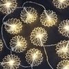 Battery Operated 10 Iron Net Flower Lights with Warm White LEDs