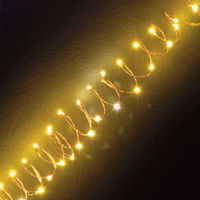 Battery Operated 20 Warm White LED Wire Lights