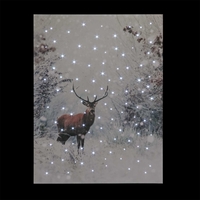 Battery Operated Fibre Optic 30x40cm Christmas Stag In Snow Scene Canvas