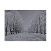 Battery Operated Fibre Optic 40x30cm Tree-Lined Snowy Avenue at Night Canvas