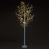 Birch Tree with Warm White LEDs