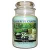 Day Spa 24oz Cheerful Candle