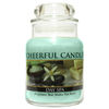 Day Spa 6oz Cheerful Candle