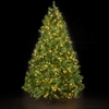 Douglas Pine Pre-Lit Christmas Tree